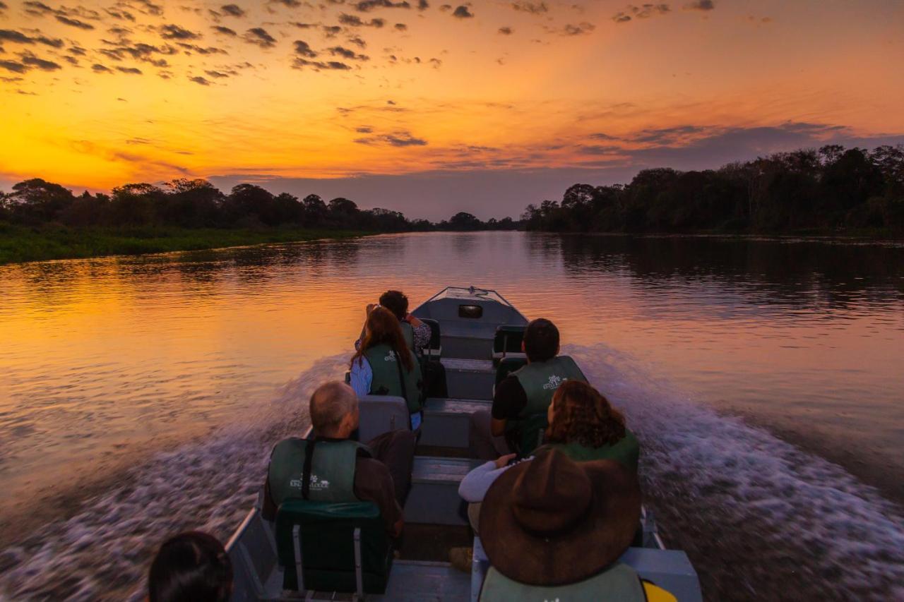 Passo do Lontra Pantanal Jungle Lodge מראה חיצוני תמונה