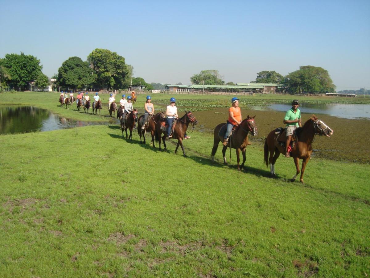 Passo do Lontra Pantanal Jungle Lodge מראה חיצוני תמונה