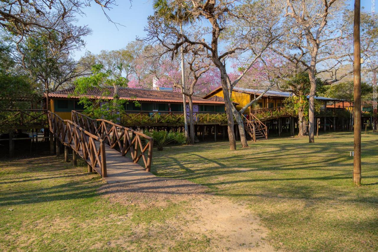 Passo do Lontra Pantanal Jungle Lodge מראה חיצוני תמונה