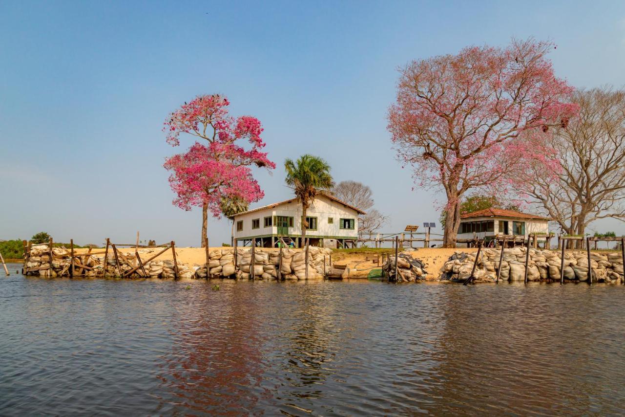 Passo do Lontra Pantanal Jungle Lodge מראה חיצוני תמונה
