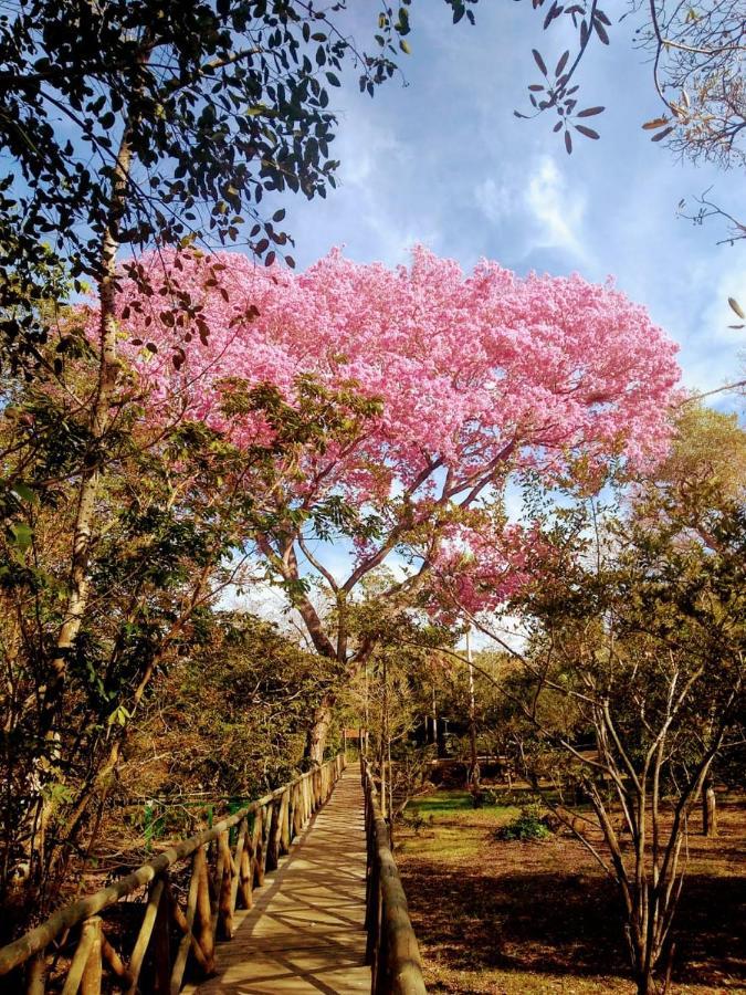 Passo do Lontra Pantanal Jungle Lodge מראה חיצוני תמונה